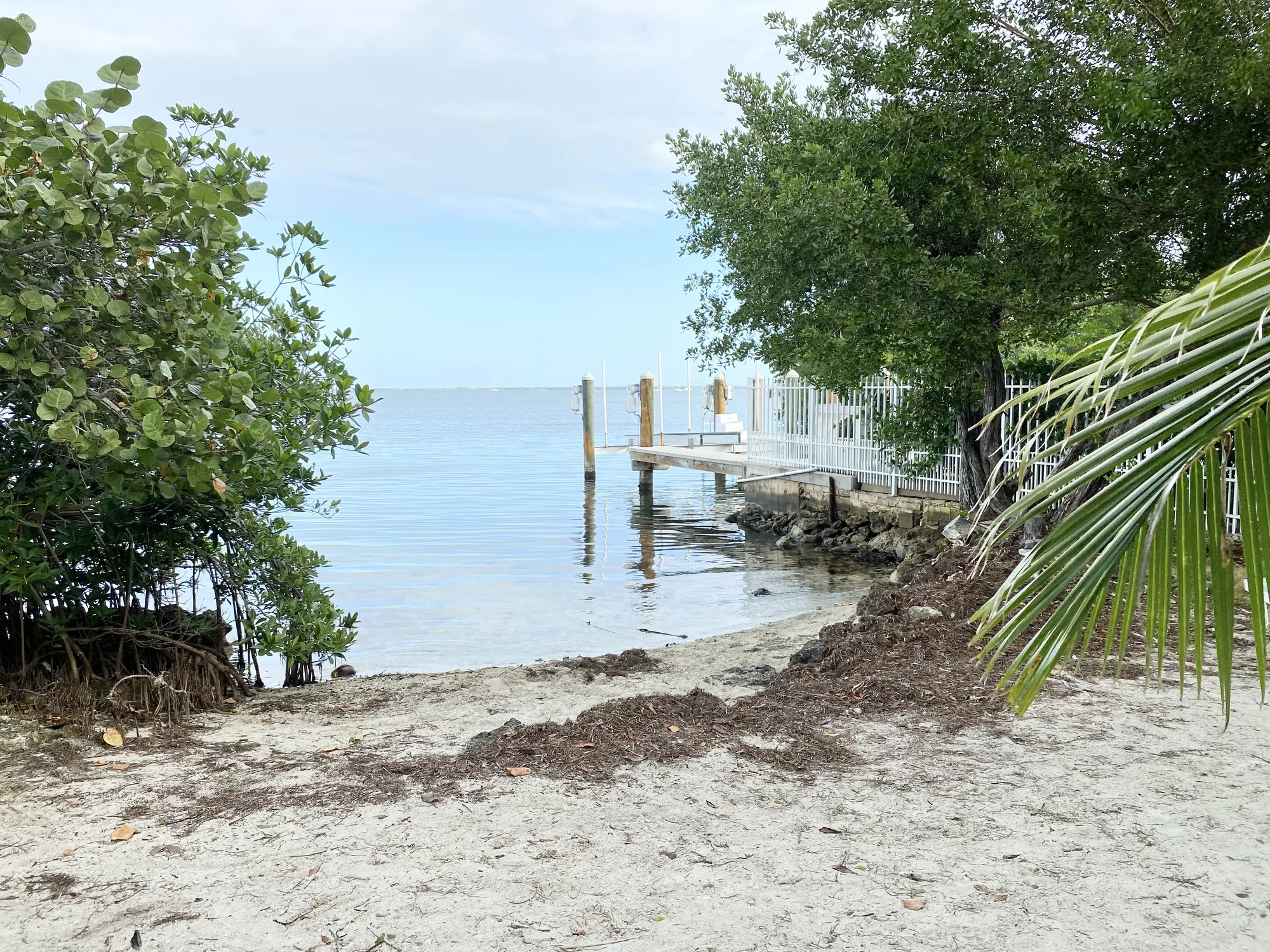 Parakeet Estates — Key Largo